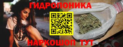 дурь Кингисепп