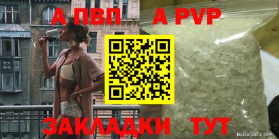 дурь Кингисепп