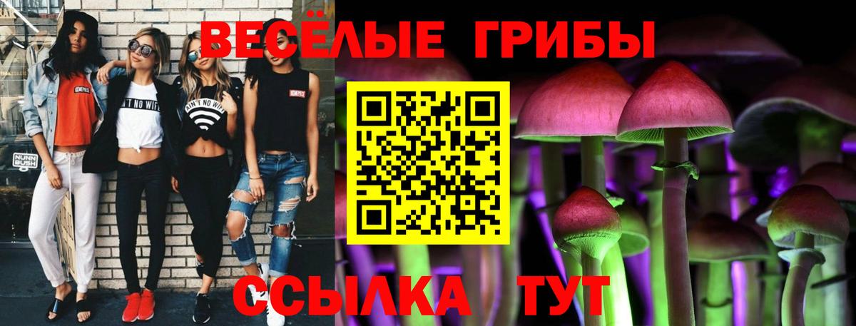 Котовск  купить наркотик  Вход с VPN  Галлюциногенные грибы мухоморы  Псилоцибиновые грибы Psilocybe 